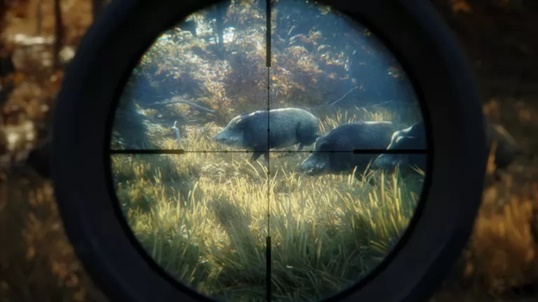 theHunter Call of the Wild