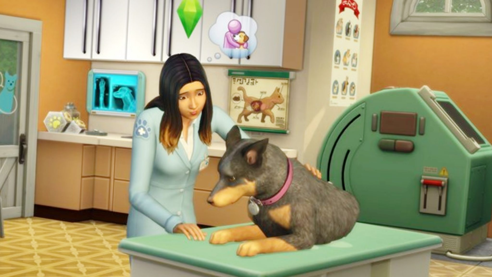 the sims 4 cats and dogs recolor