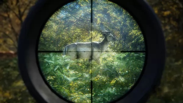 TheHunter Call of the Wild 2019 Edition