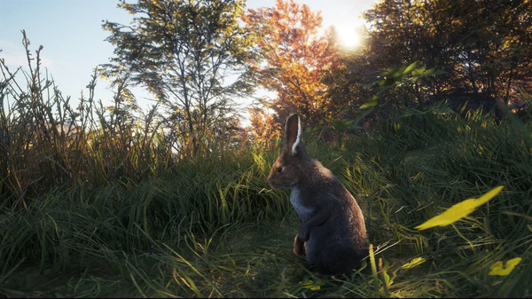 TheHunter Call of the Wild New Species 2018 Free Download