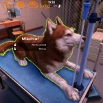 Animal_Shelter_2___Vet_Clinic_DLC_sc_1_jpg